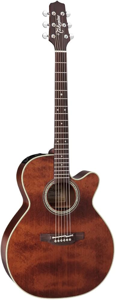 Amazon.co.jp: Takamine / PTU531C VBS タカミネ エレアコ