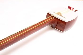 Amazon | 本皮胡弓セット・弓（馬毛）付・花梨材 | 弦楽器 | 楽器