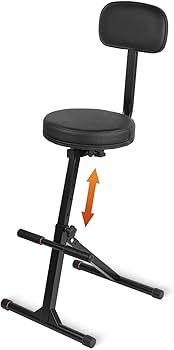 Amazon.com: STRICH Guitar Stool With Backrest, Height Adjustable