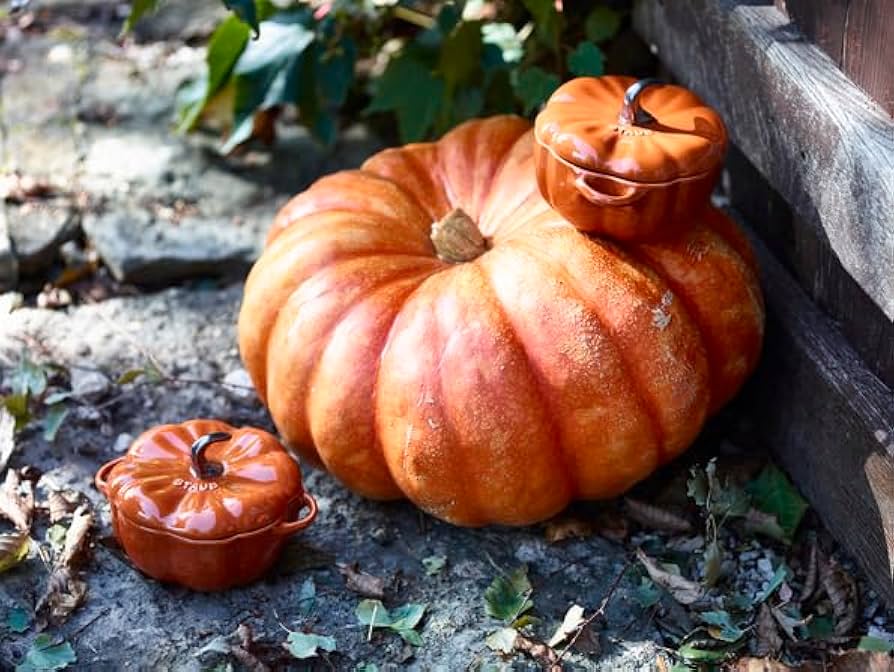 Amazon｜staub ストウブ 「 パンプキン ココット シナモン 15cm 0.68ml