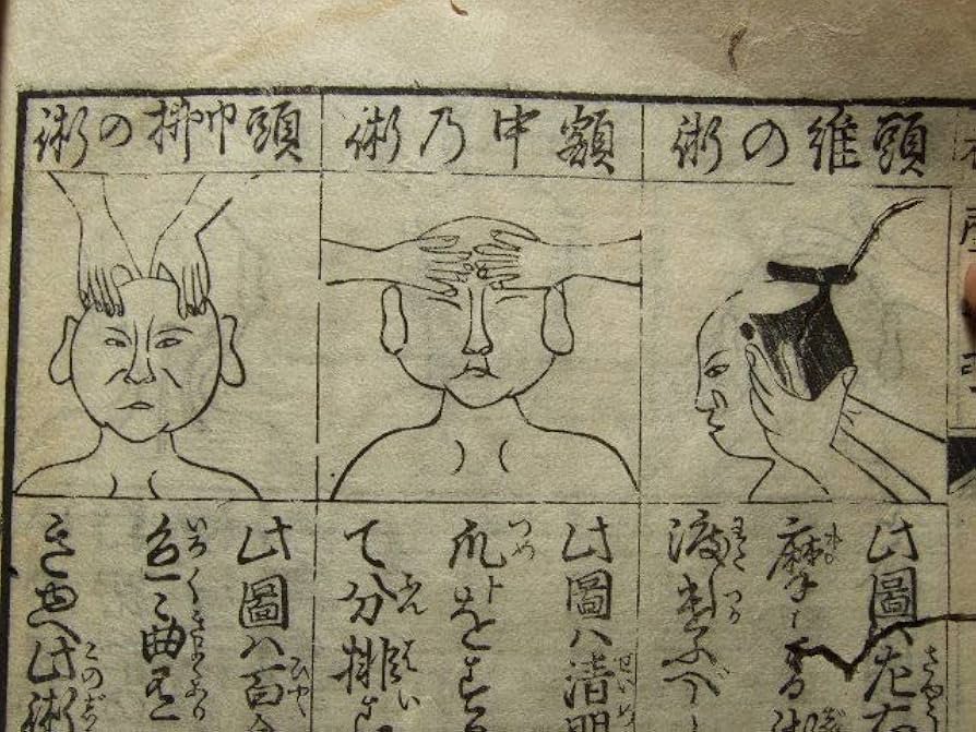 Amazon.co.jp: 超逸品江戸期文政十年1827年刊行按摩鍼灸術按摩手引