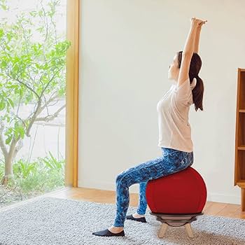 Amazon.co.jp: 椅子 サンゴチェア iimo 35chair 0622 ジェントル