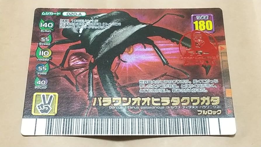 Amazon.co.jp: アダー パラワンオオヒラタクワガタ 2007年フォレスト