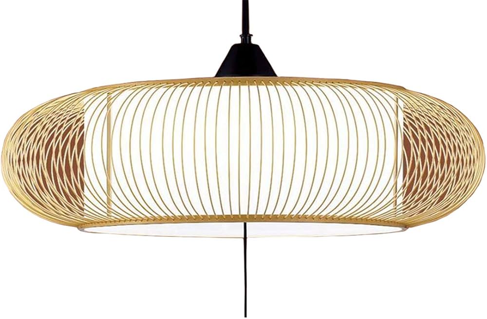 Amazon.co.jp: パナソニック(Panasonic) 天井吊下型 LED 昼光色