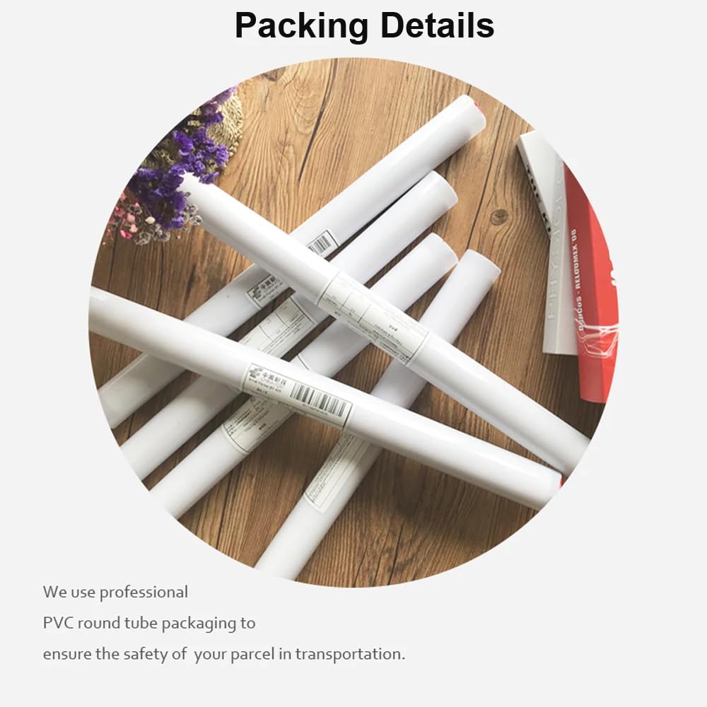 Amazon｜マルクシャガールグランパレポスター抽象的なウォールアート