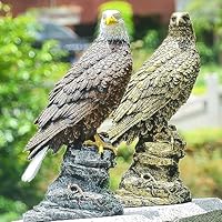 Amazon.co.jp: 猛禽類最強 鷲 ワシ 鷹 置物 縁起の良いシンボル
