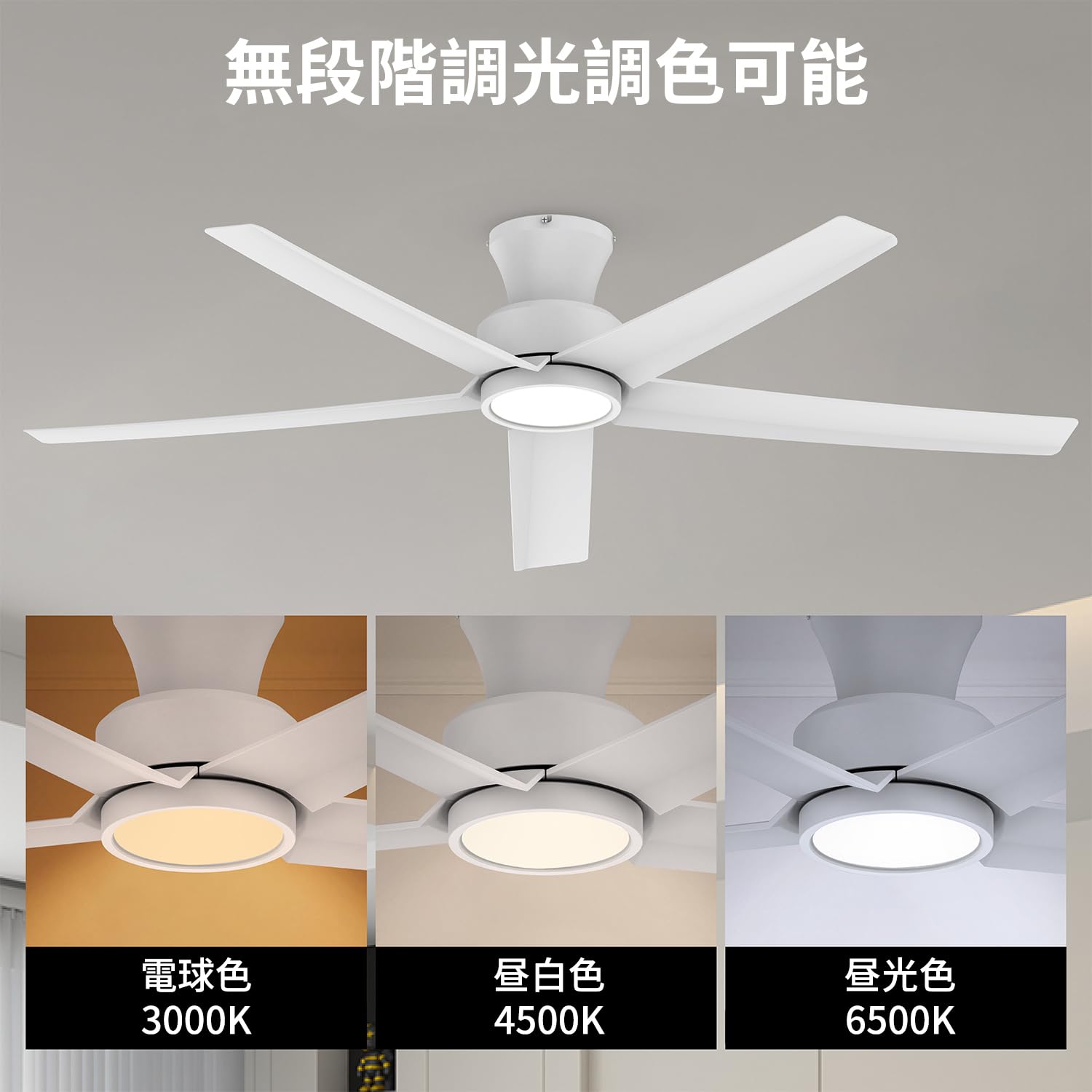 Amazon.co.jp : 【節電-5年保証】TALOYA シーリングファンライト 調光