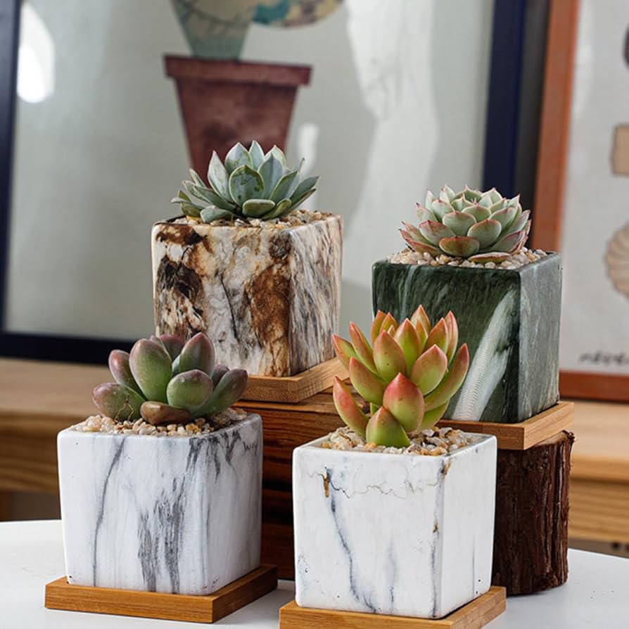 Amazon.co.jp: 植木鉢 室内用プランター 小型植木鉢 F 多肉植物用