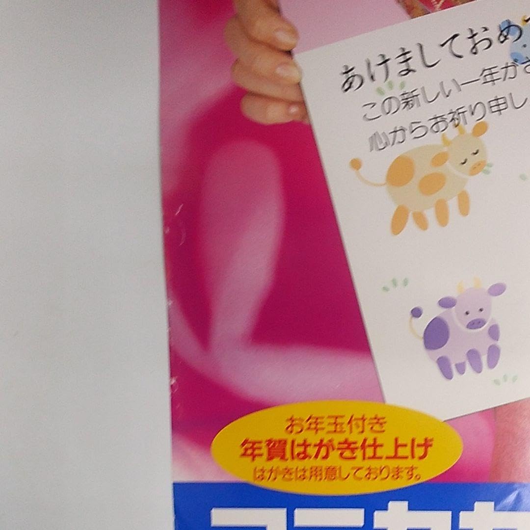 Amazon.co.jp: 1996年 西田ひかる コニカカラー ポストカードポスター