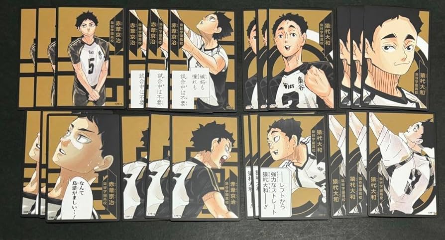 Amazon.co.jp: ハイキュー ボードゲーム 援 赤葦京治 猿杙大和 梟谷