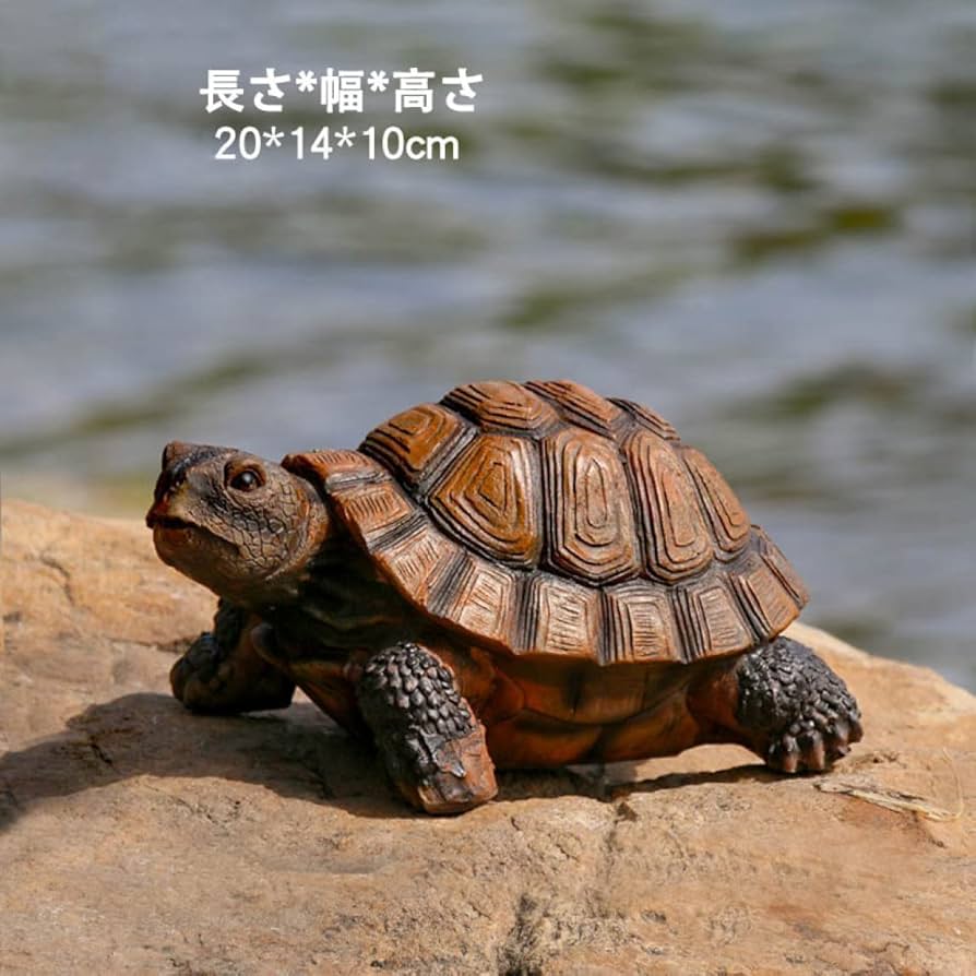 6164RcxsvUL._AC_UF894,