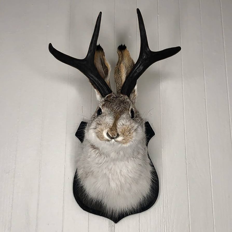 Amazon.co.jp: 動物の頭の壁装飾 3Dウサギの壁掛け装飾 ジャッカロープ