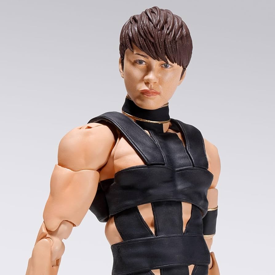 Amazon.co.jp: バンダイ(BANDAI) S.H.Figuarts T.M.Revolution 西川