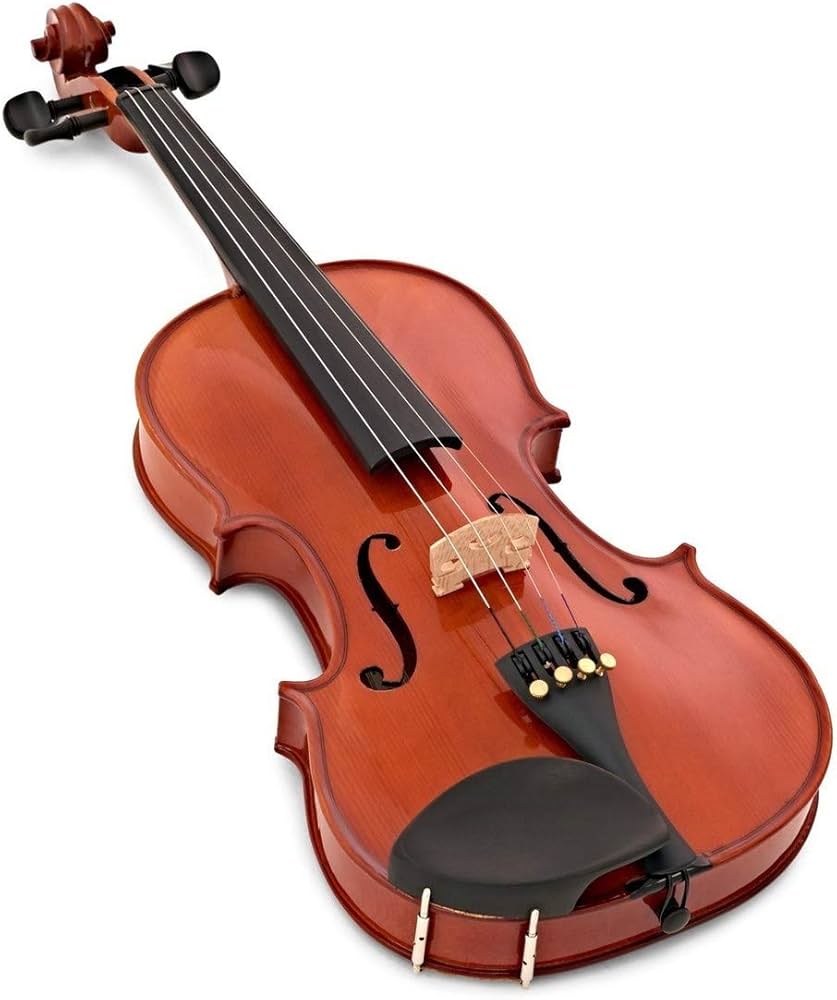 Amazon.co.jp: STENTOR (ステンター) バイオリンセット SV-120 1/10