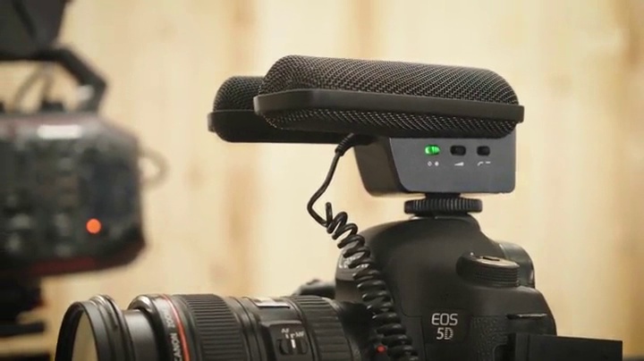 Amazon.com: Sennheiser Professional MKE 440 Compact Stereo Shotgun