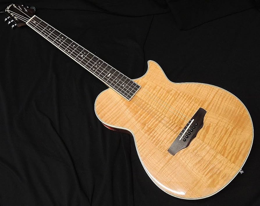 修理品】ARIA MBA? エレアコ