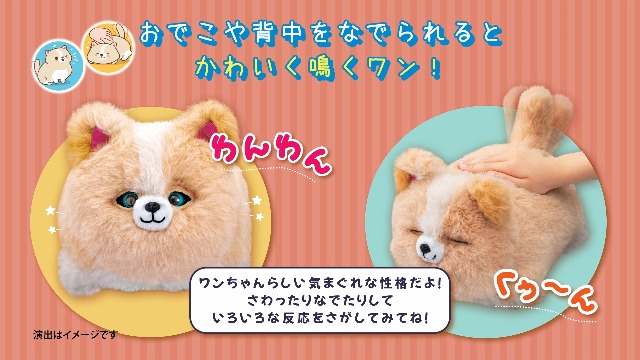 Amazon.co.jp: アガツマ(AGATSUMA) ワンだきみは! ? 動くぬいぐるみ ま