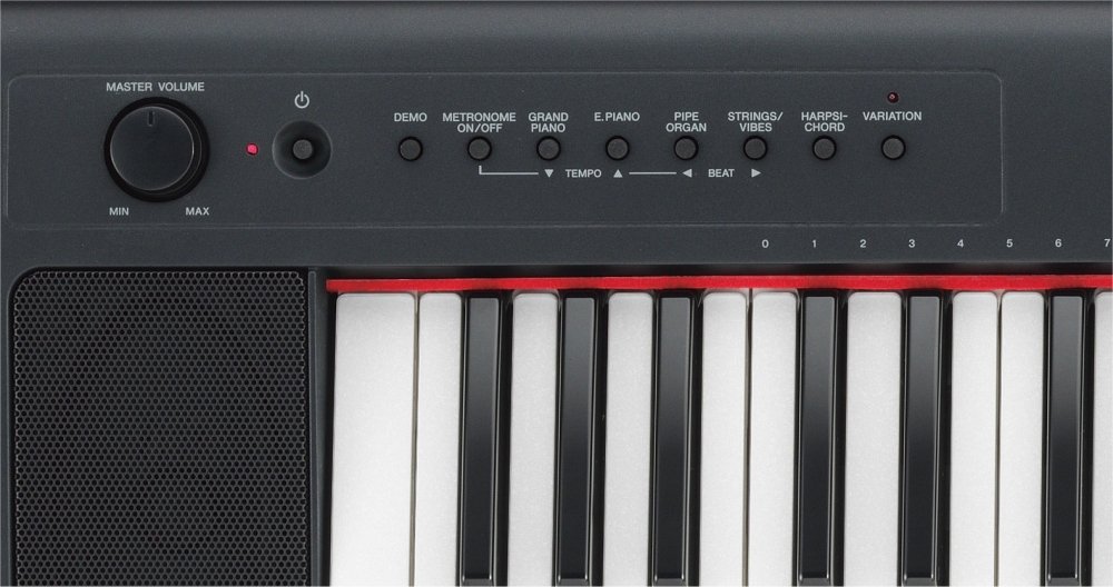 Amazon.com: Yamaha Piaggero NP31 76-Key Lightweight Compact