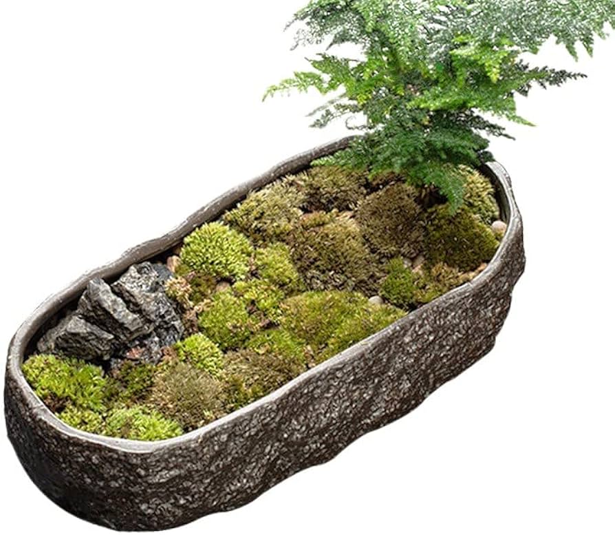 Amazon.co.jp: 金魚鉢 金魚 メダカ 鉢 メダカ鉢 睡蓮鉢 水耕植木鉢 亀