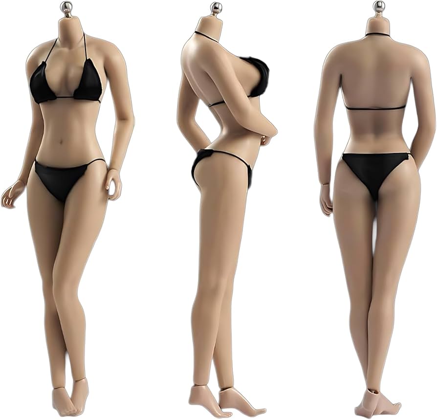 Amazon.co.jp: 1/6スケール 女性ボディ、12インチ アジアンガール