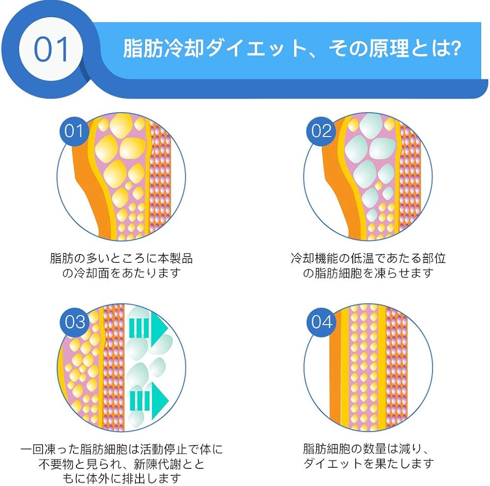Amazon.co.jp: 冷凍ダイエットマシン 脂肪冷却 痩身マシン 家庭用