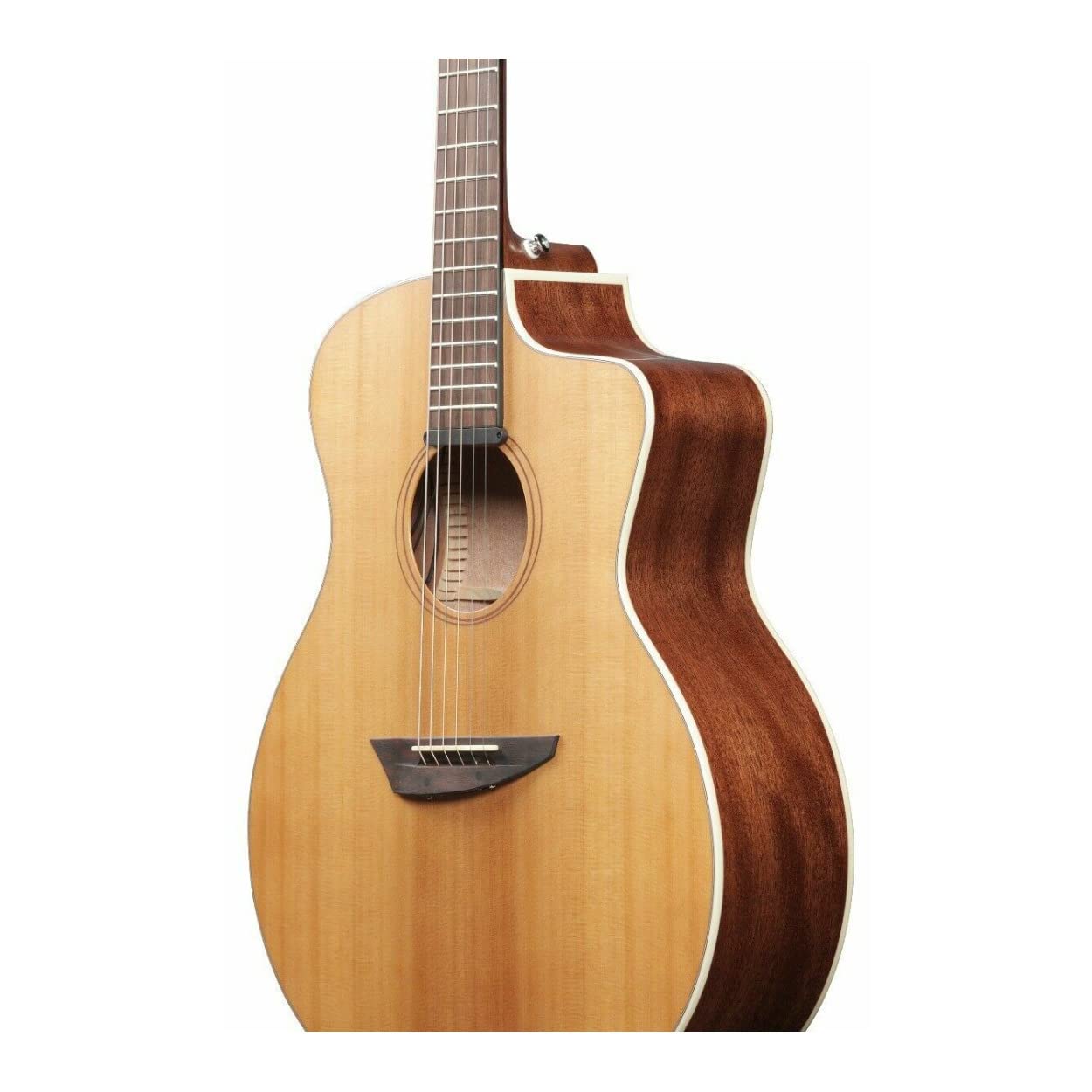 Amazon.com: Ibanez PA230E Acoustic-Electric Guitar - Natural Satin