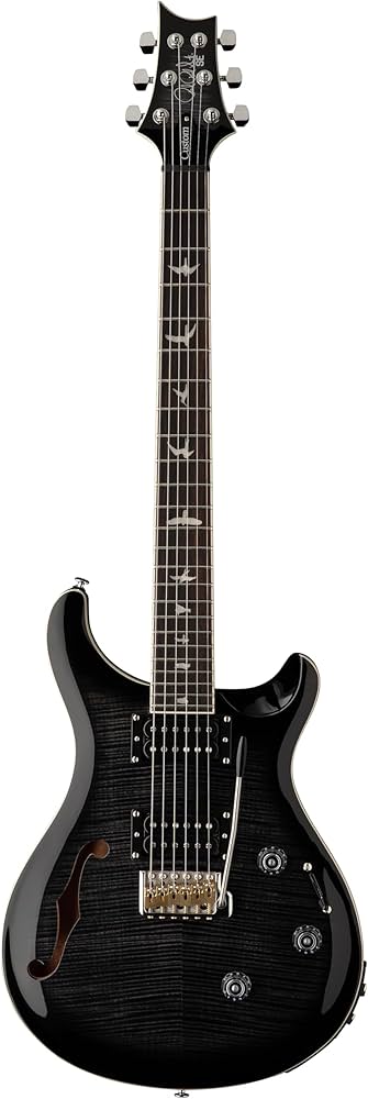 Amazon.com: PRS SE Custom 24 Semi-Hollow Piezo, Charcoal Burst