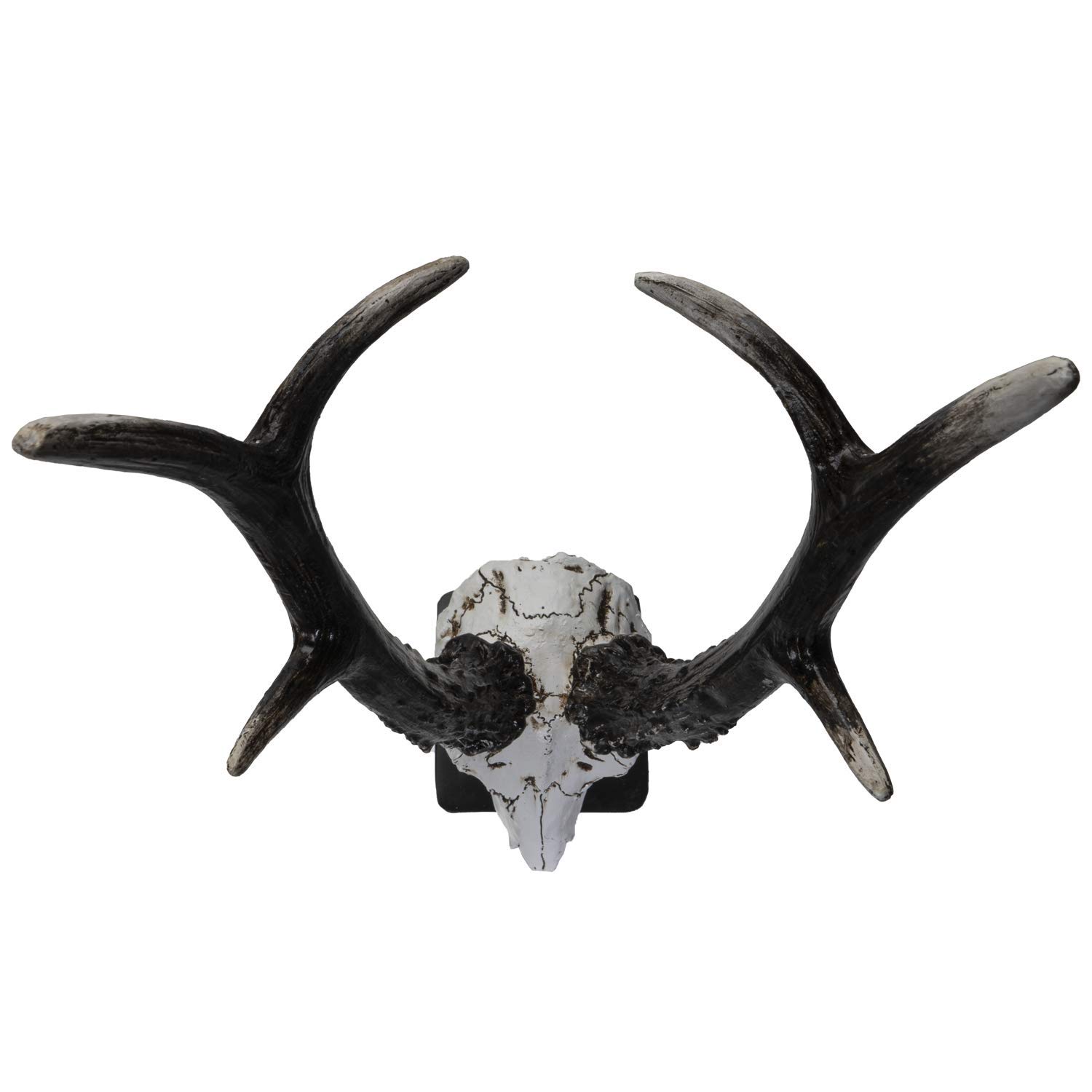 Amazon.co.jp: SUMMIT COLLECTION ポリストーン 鹿の頭蓋骨 金属製