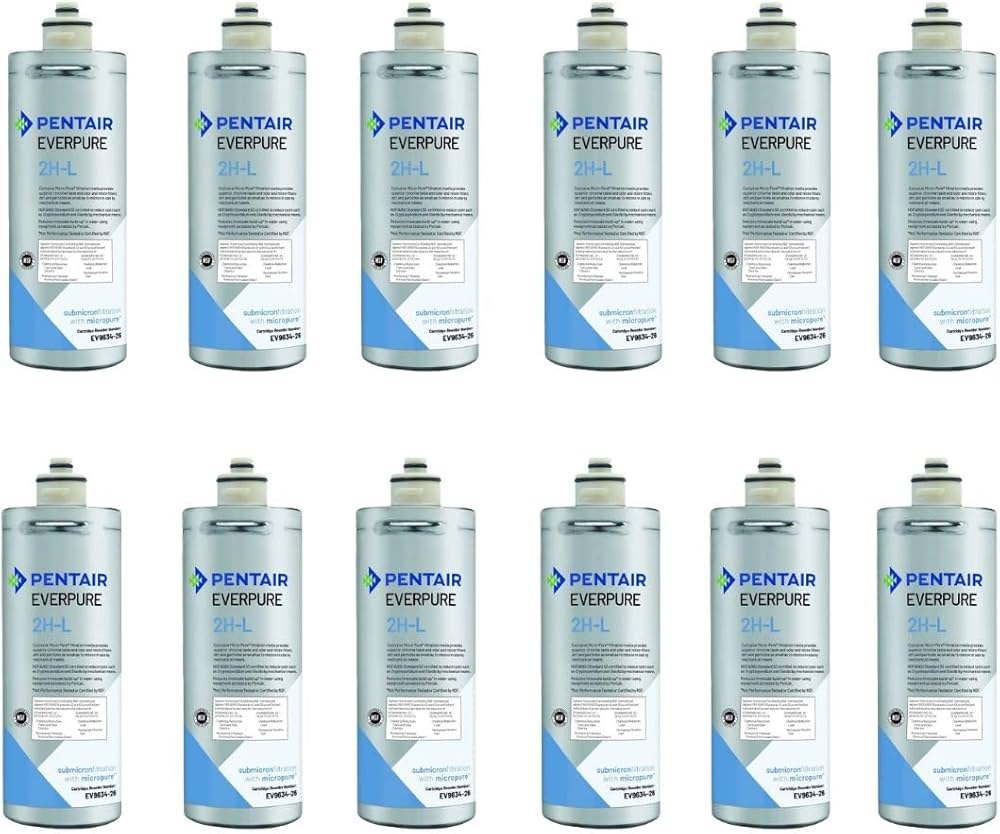 Amazon.com: Everpure 2H-L | Aquverse A100 | Pentair S-54