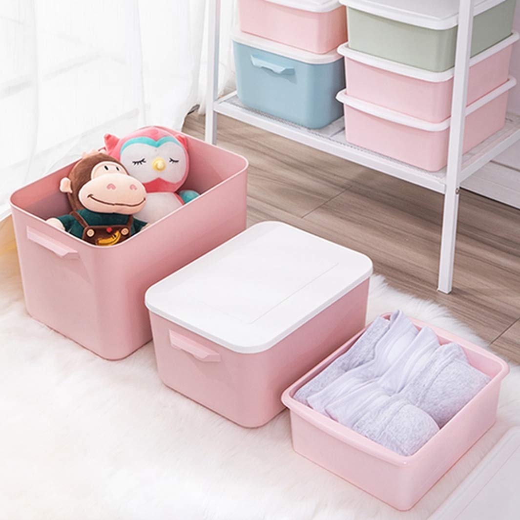 Amazon｜衣装ケース ふた付き 収納ボックス 丈夫 頑丈 S 大型