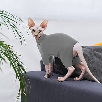 ROZKITCH Hairless Cat Clothes, Breathable Soft Cat Jumpers for