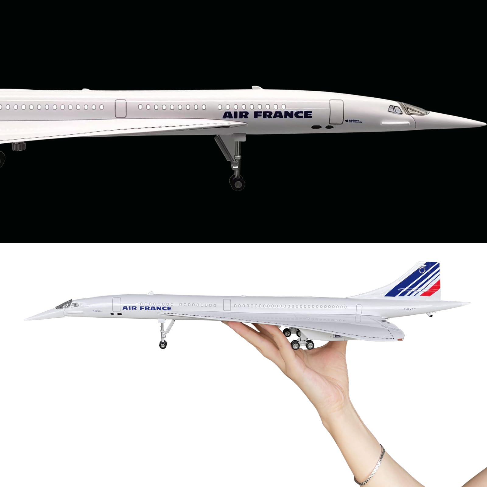 Amazon.com: Mahfisj 1/125 Scale Model Airplane - France Livery