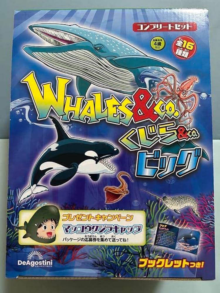 Amazon.co.jp: くじら&co コンプリートセット くじらアンドコー : おもちゃ