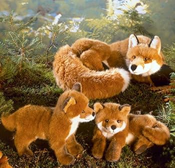 61+4O4UPR3L._AC_UF350,