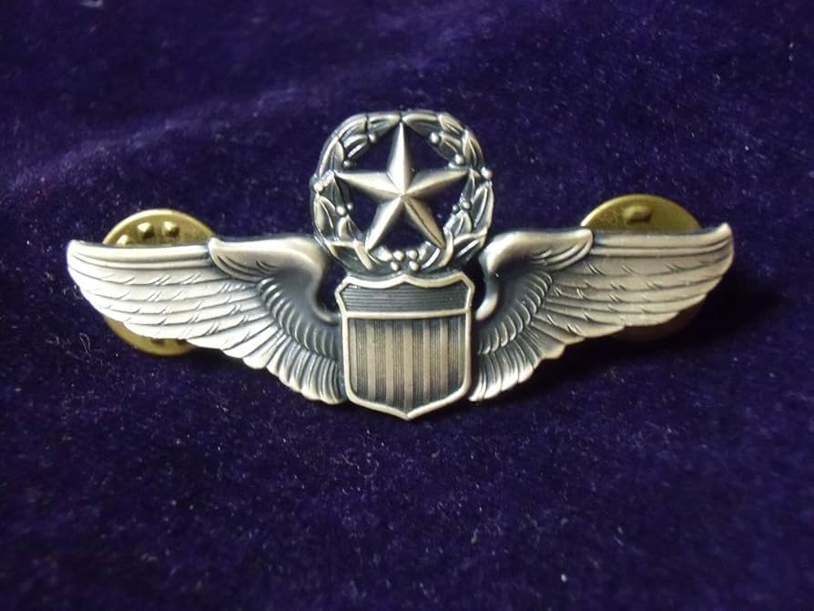 Amazon.co.jp: アメリカ軍の勲章/記章＊空軍＊マスターパイロット章