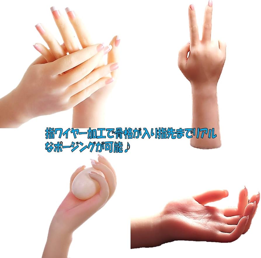 Amazon | ハンドモデル 両手 手 マネキン リアル 模型 トルソー 女性