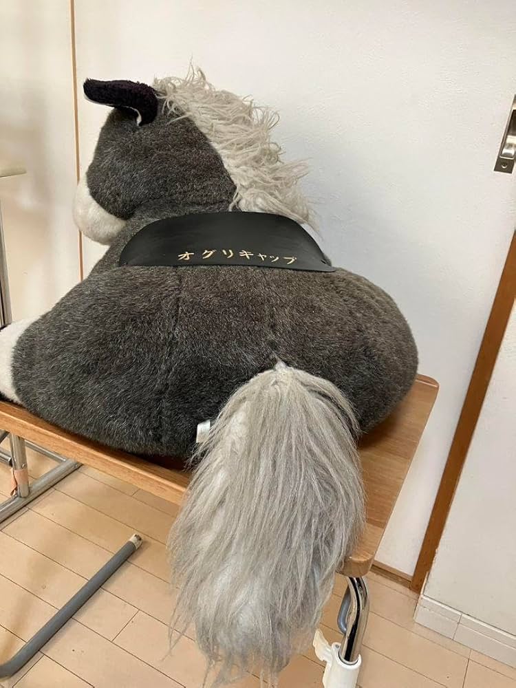 Amazon.co.jp: オグリキャップ 2L特大 ぬいぐるみ : おもちゃ