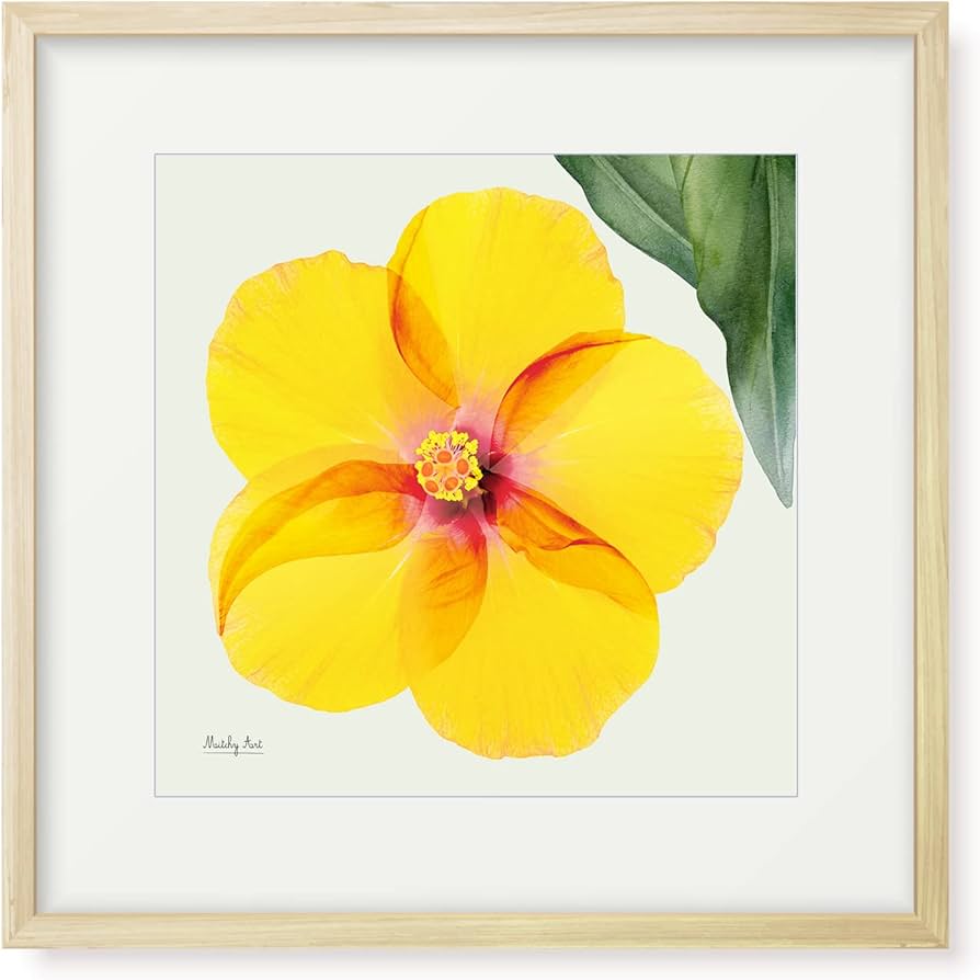 Amazon.co.jp: 絵画「真上からのハイビスカス」インテリア 絵 花