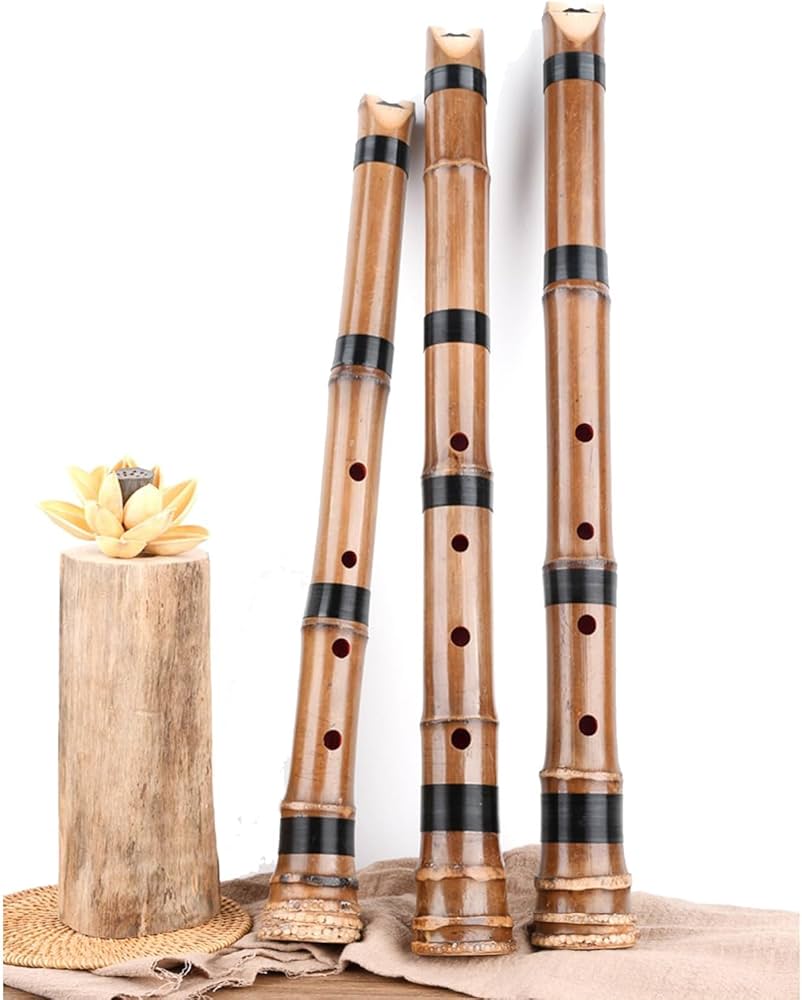 Amazon | Jinchuan 尺八 1尺8寸 D管 尺六 1尺6寸 E管 琴古流 高級管