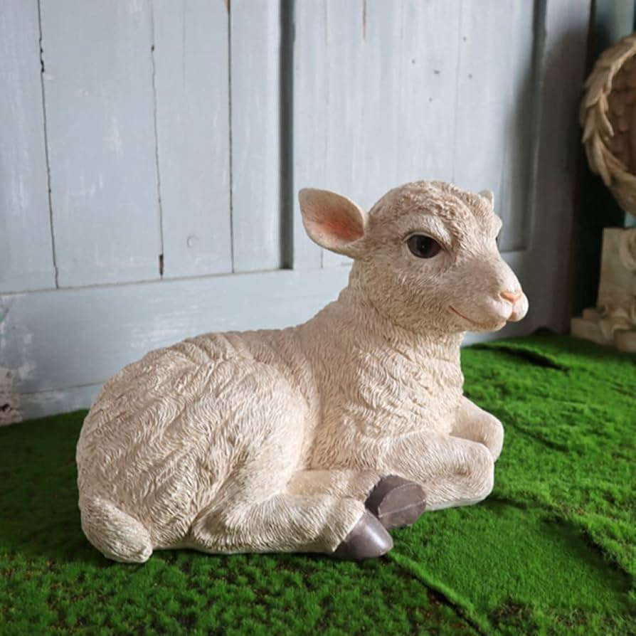 61-MQrYFGML._AC_UF894,