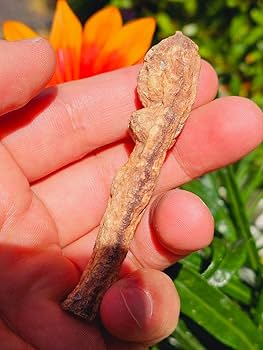 Amazon.co.jp: 特級呪物 ナリーポンとマカリーポンのセット : おもちゃ