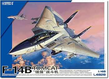 61-ks7hanoL._AC_UF350,