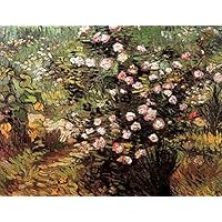 Amazon.co.jp: 18 アート絵画 花のローズブッシュ ヴィンセント