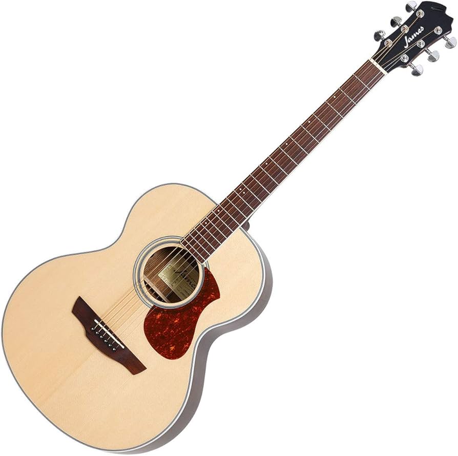 Amazon.co.jp: James J-450A/Ova Natural Acoustic Guitar James