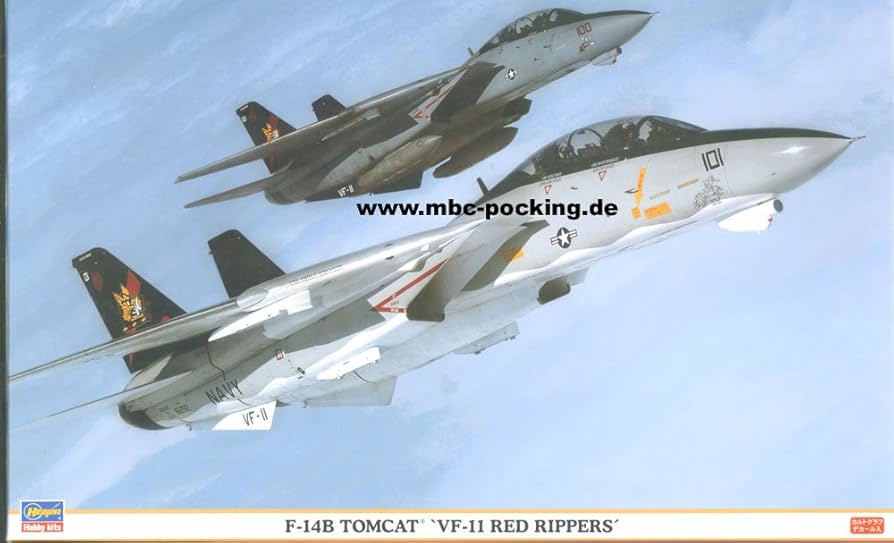 Amazon | ハセガワ 1/48 F-14B トムキャット VF-11 レッドリッパーズ