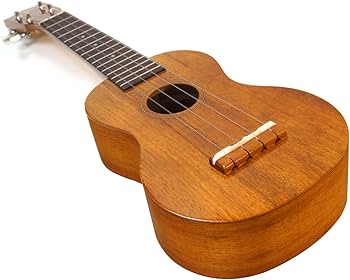 Amazon.com: FAMOUS Ukulele, Braun (FS-5G) : Musical Instruments