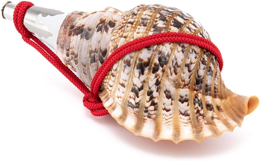 Amazon.co.jp: 伊勢 - 宮忠 - 法螺貝 ほら貝 楽器 笛 歌口付き 真言宗