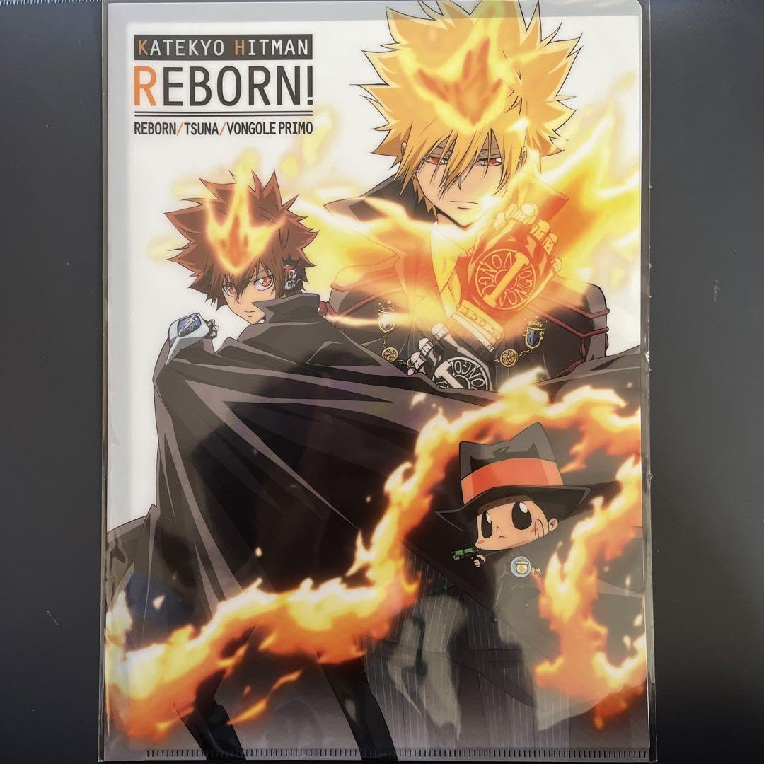 Amazon.co.jp: 家庭教師ヒットマンreborn！ a4クリアファイル売り : ホビー