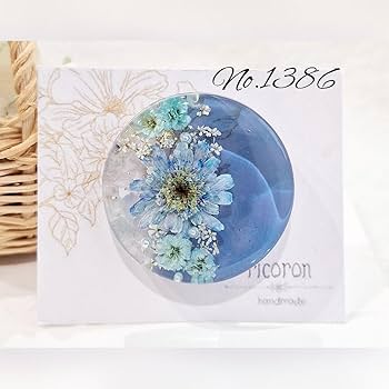 Amazon.co.jp: レジン 大人可愛い ヘアゴム ポニーフック ブローチ