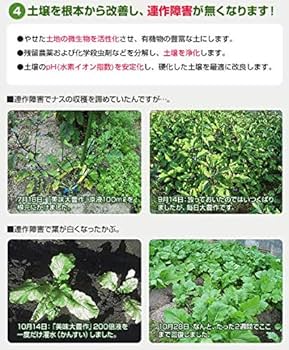 Amazon | 肥料 スーパー植物活力液 美味大豊作GT-S 20リットル 早く